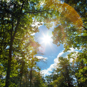 亚洲成AV人影院在线观看网
